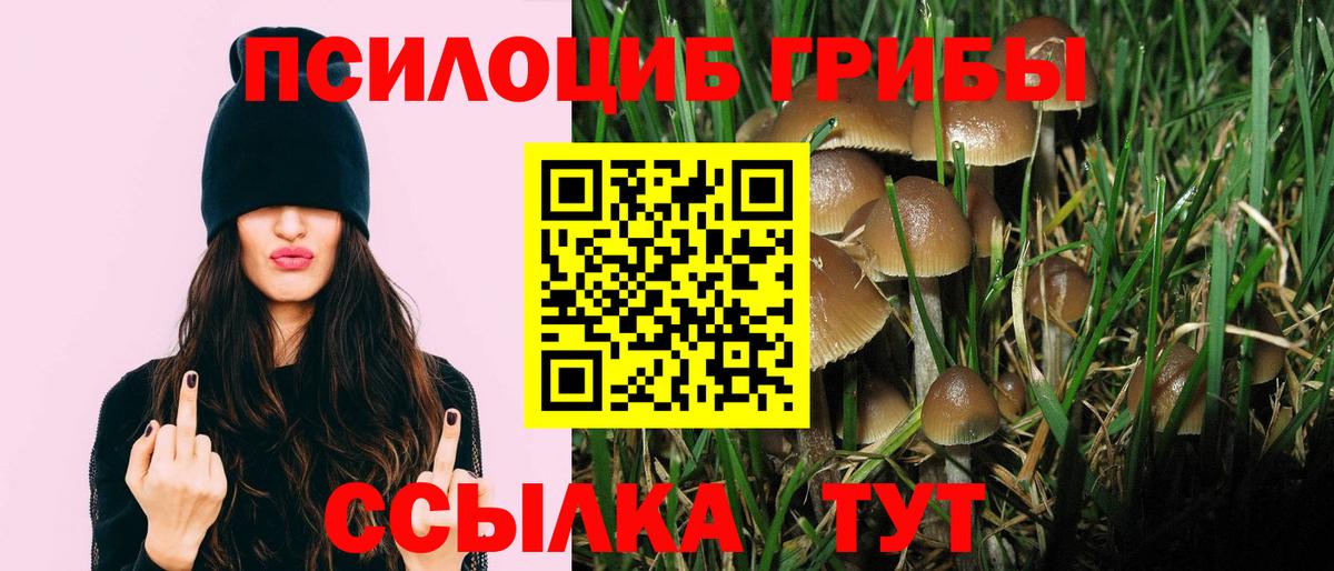 Галлюциногенные грибы мицелий  Вход с VPN  Киржач  Псилоцибиновые грибы прущие грибы 